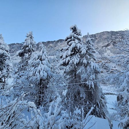 Hotel Apple Flower Manali (Himachal Pradesh) Bagian luar foto