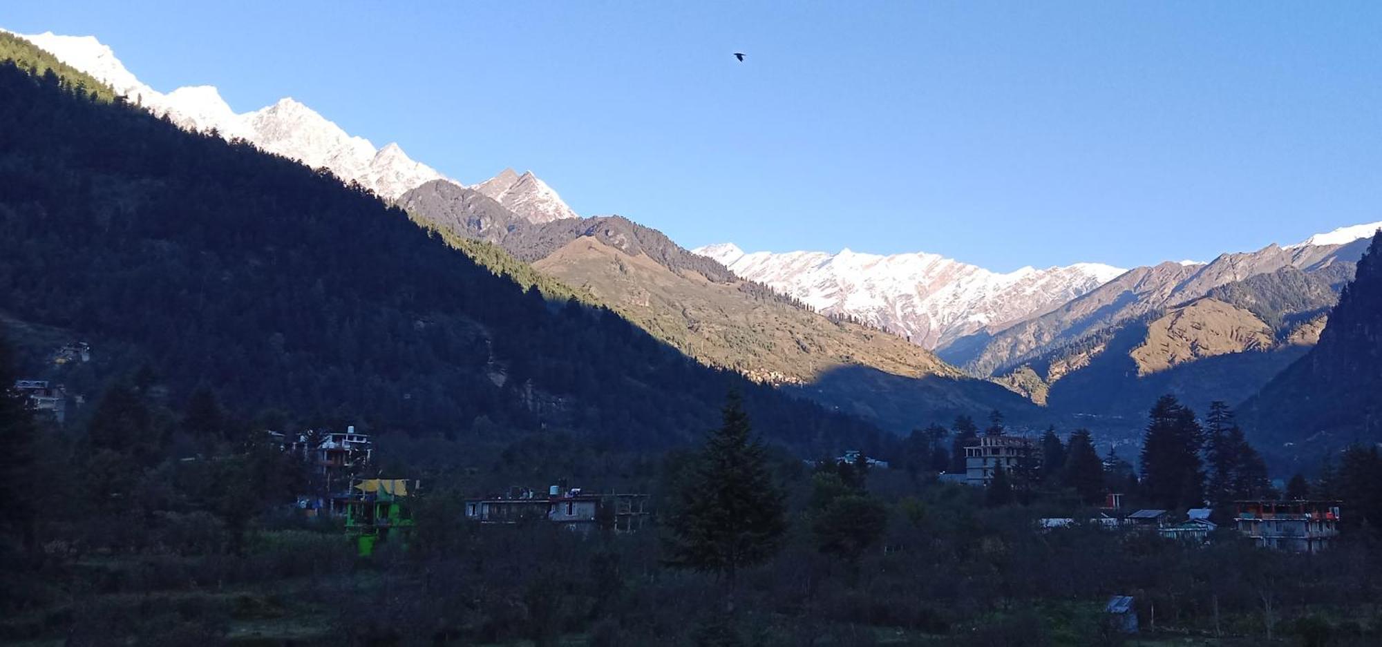 Hotel Apple Flower Manali (Himachal Pradesh) Bagian luar foto