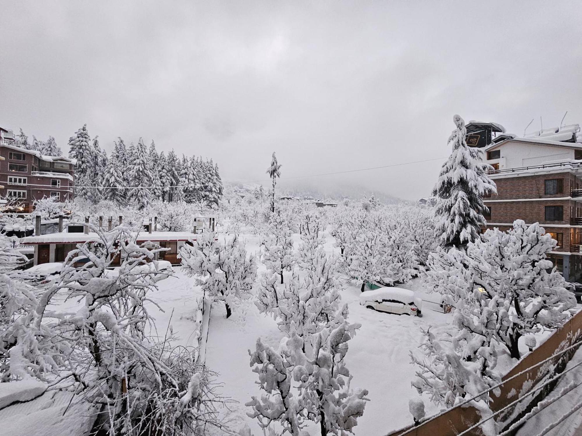 Hotel Apple Flower Manali (Himachal Pradesh) Bagian luar foto